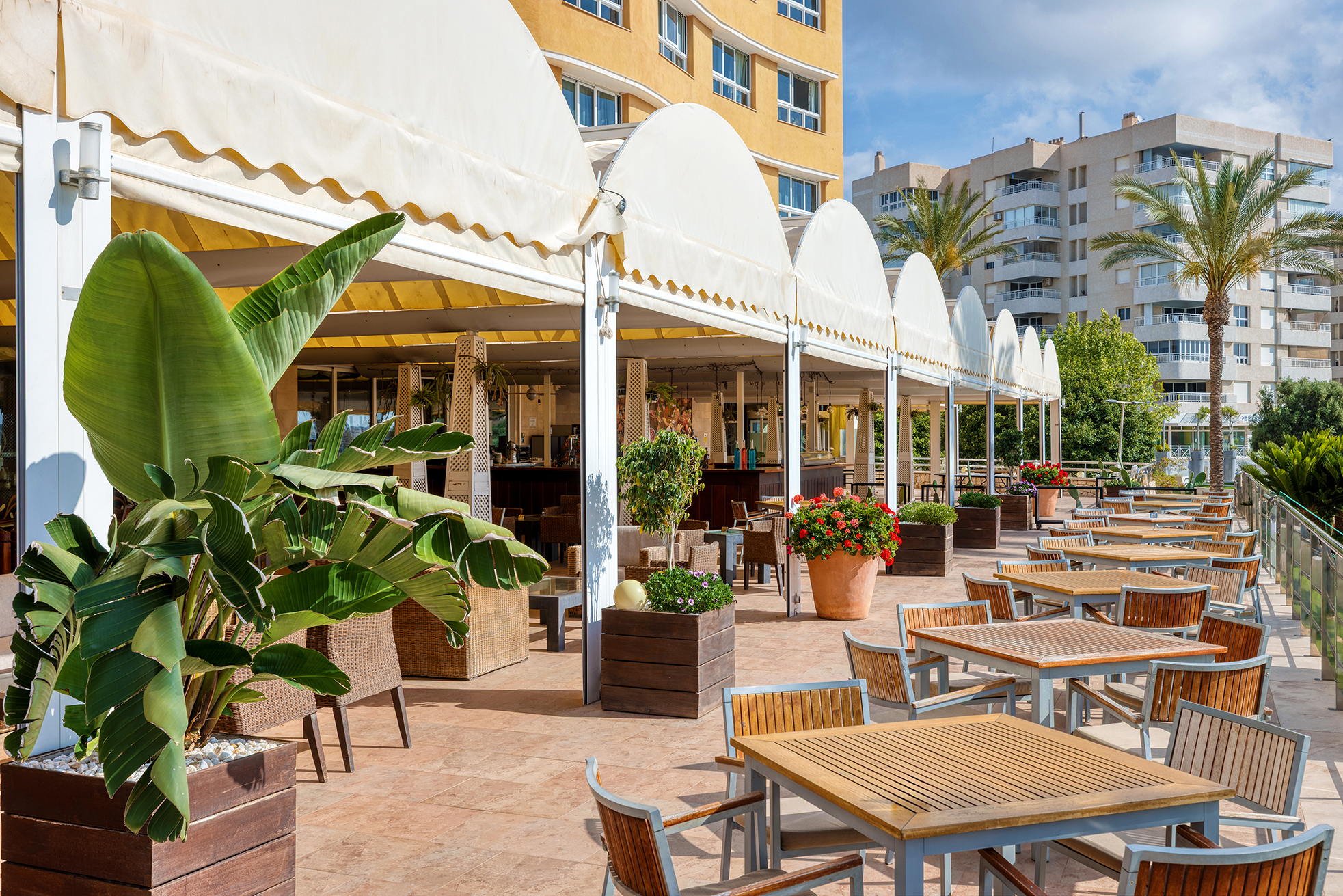 009_alta_senatoráguilas Terraza.jpg